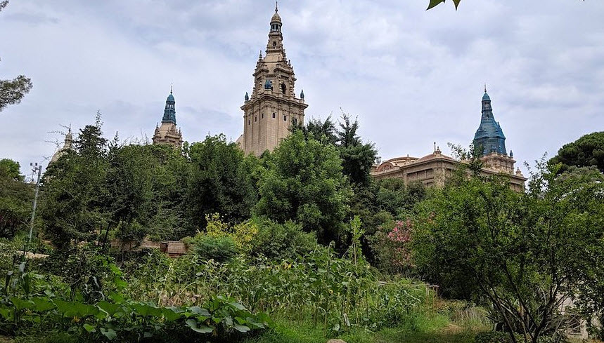 Jardi Botanic Historic, Spain